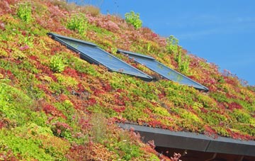 Durrants living roof systems